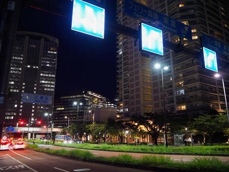 豊洲の夜景・春海橋からの眺め(東京都) 豊洲の夜景・春海橋からの眺め(東京都)の写真