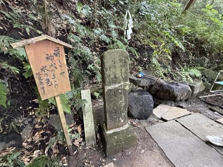 鹿島神宮　御手洗池 鹿島神宮,神社,茨城県の写真素材