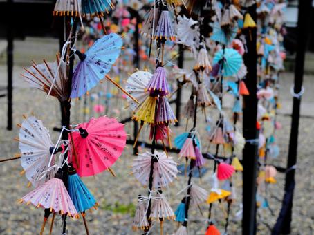 傘みくじ 傘みくじ おみくじ,函館八幡宮,鳥居の写真素材