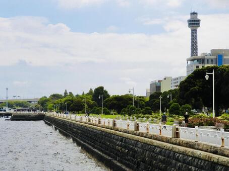 横浜港山下公園とマリンタワー 山下公園,横浜マリンタワー,横浜港の写真素材