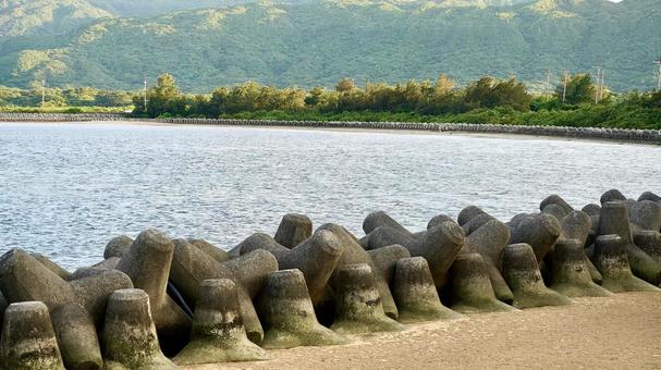 沖縄県八重山諸島西表島にある船浦湾 沖縄県八重山諸島西表島にある船浦湾 船浦湾,干潟,海の写真素材