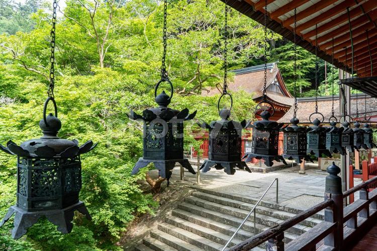 奈良　談山神社　拝殿の吊り燈篭 談山神社,談山,神社の写真素材