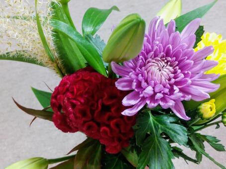 花 花の写真
