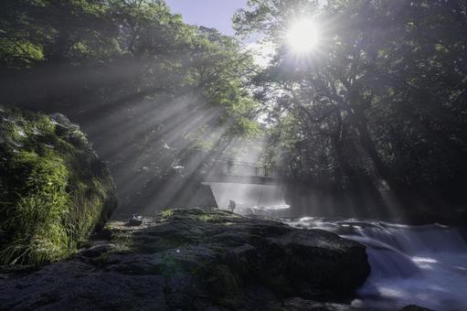 熊本-【菊池渓谷の光芒】 熊本-【菊池渓谷の光芒】 熊本,菊池渓谷,川の写真素材