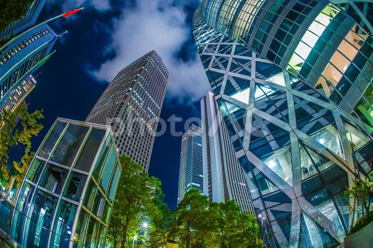 東京新宿の高層ビル群の夜景 新宿,西新宿,夜景の写真素材