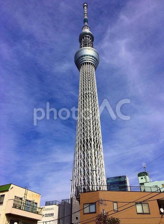 【風景写真】スカイツリーが見える風景 自然,景色,景観の写真素材