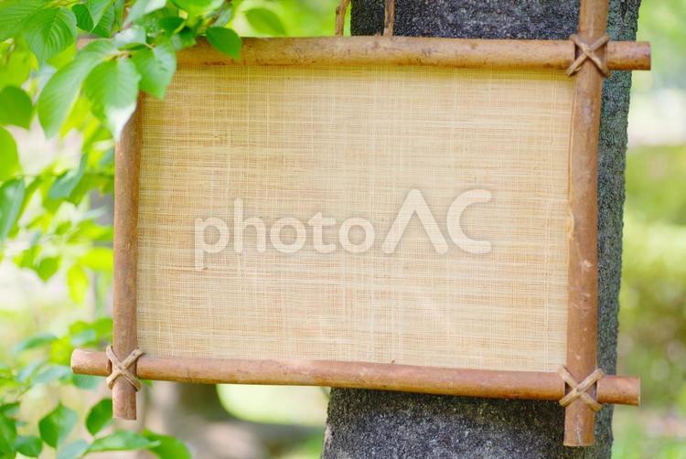 森林の中の木製空白看板 木の看板,木製,吊り下げの写真素材