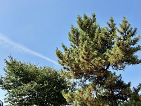 空 空の写真