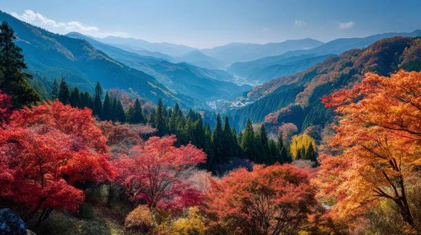 紅葉した秋の山 紅葉した秋の山の写真