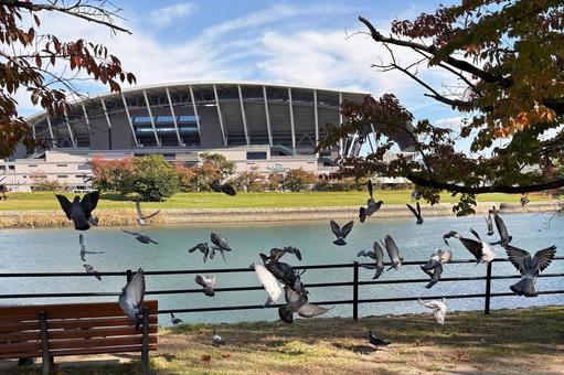 ピースウイング秋 広島市,秋,太田川の写真素材