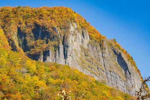 紅葉の盤司岩⑸ 紅葉の盤司岩⑸ 盤司岩,秋,紅葉の写真素材