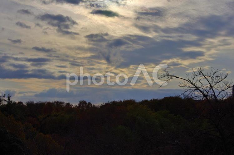 逆光の雲とシルエットの木　3 雲,空,晴れの写真素材