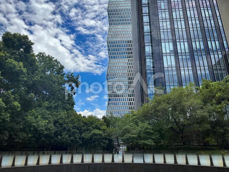 自然と調和する都会の高層ビル群の風景 高層ビル,都市風景,近代建築の写真素材