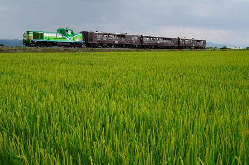 富良野線のノロッコ号 富良野線のノロッコ号の写真