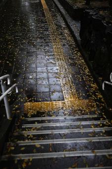 雨が振った階段　石畳 暗い,石畳,階段の写真素材