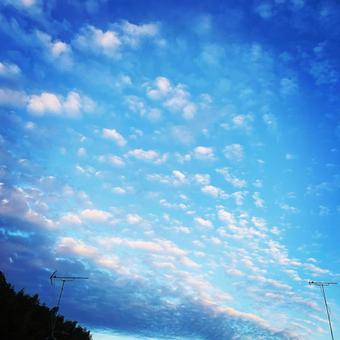 空と雲 空と雲の写真