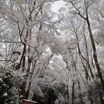 雪景色 雪景色 日本,観光,旅行の写真素材
