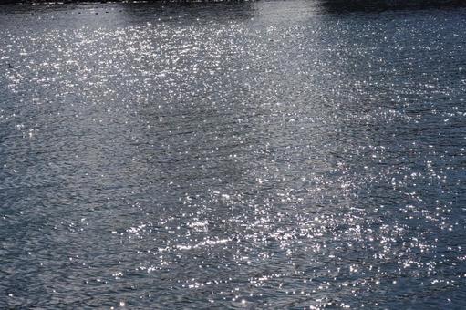 きらきら光る海面の海のアップ きらきら光る海面の海のアップの写真