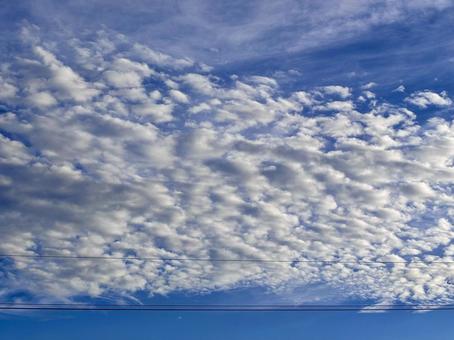 【風景写真】夏空 【風景写真】夏空の写真