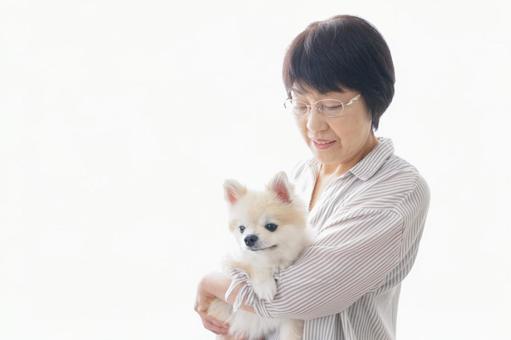犬を買うシニア女性 犬を買うシニア女性 ドッグ,室内犬,ハッピーの写真素材