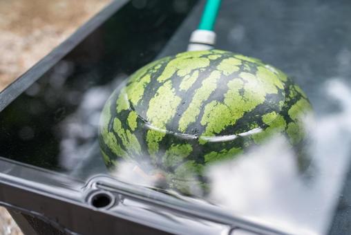 Watermelon soaked in water, JPG
