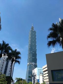 台北101 台北101 台湾,台北101,南国の写真素材