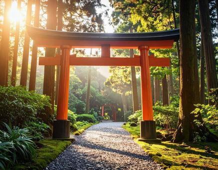 森の中の鳥居 森の中の鳥居の写真
