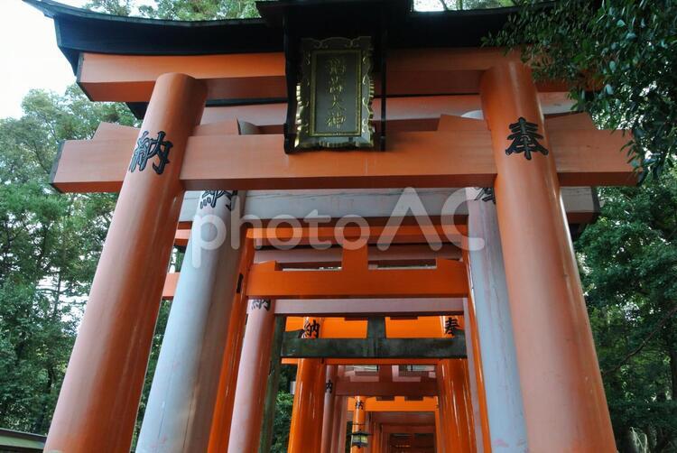 伏見稲荷大社 伏見稲荷,京都,屋台の写真素材