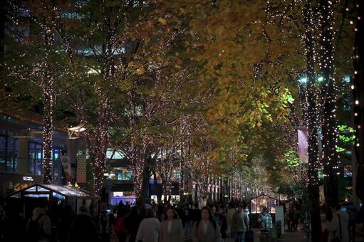 丸の内仲通りのイルミネーション 丸の内,仲通り,イルミネーションの写真素材