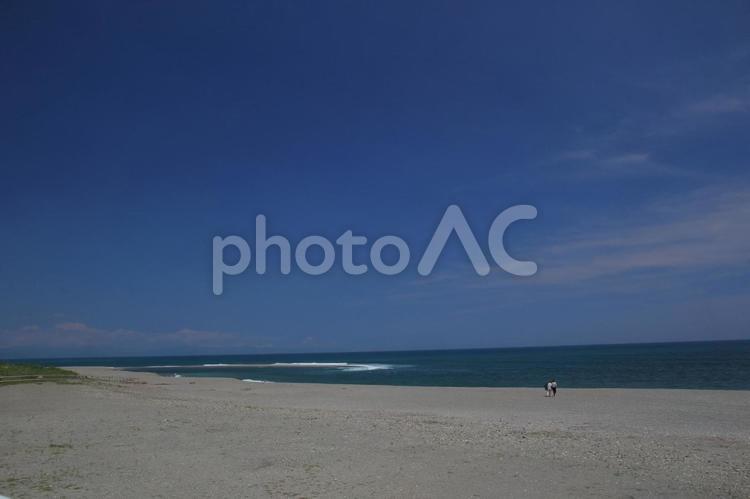 高知県土佐市　新居海岸の風景 新居海岸,太平洋,海岸の写真素材