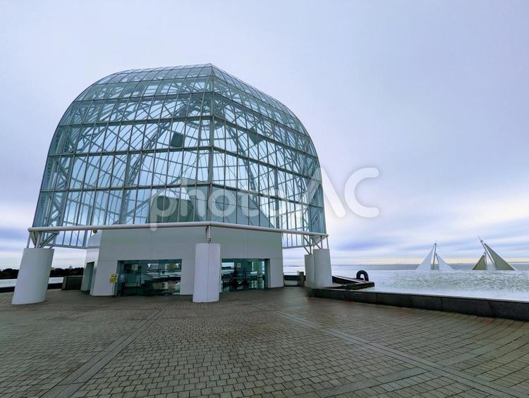 葛西臨海水族館 葛西臨海水族館,葛西臨海公園,ガラスの写真素材