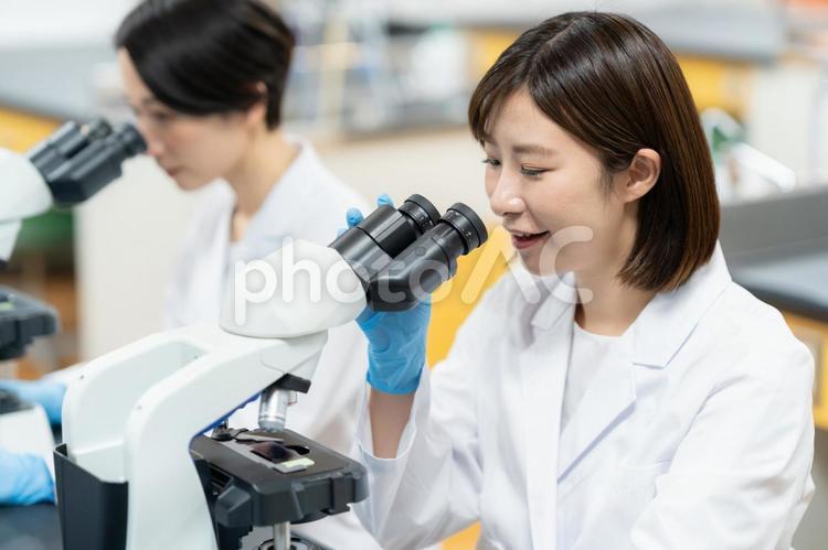 研究所で実験をする研究者 研究,実験,科学の写真素材