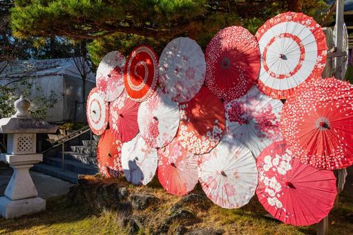 仙台八坂神社(33) 神社,仙台八坂神社,晩秋の写真素材