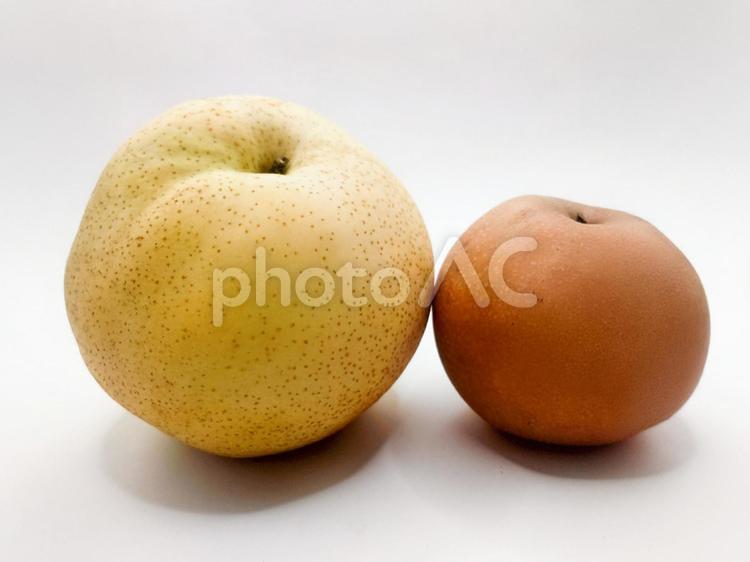 かおり梨と豊水 かおり梨,豊水,梨の写真素材