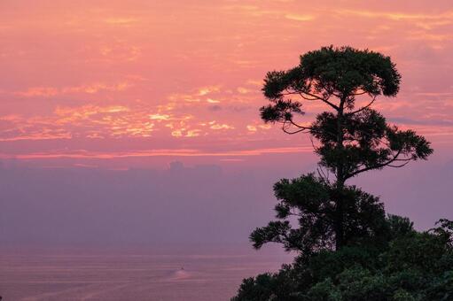 青島海岸の夜明け8 青島海岸の夜明け8の写真