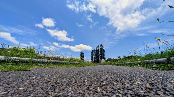 青空と小道、夏の広がる風景 青空と小道、夏の広がる風景 道,小道,空の写真素材