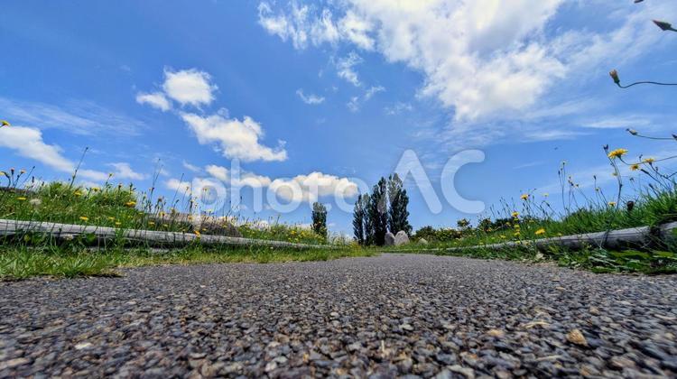 青空と小道、夏の広がる風景 道,小道,空の写真素材