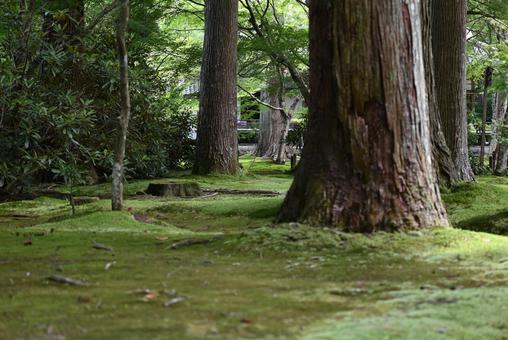 有清園 有清園の写真