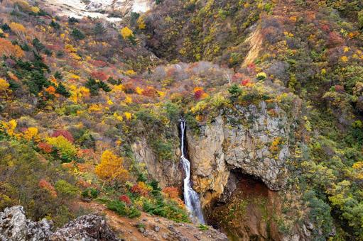 蔵王の紅葉(25) 蔵王,紅葉,秋の写真素材