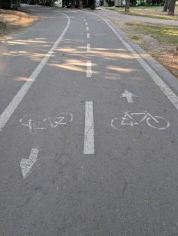 自転車専用道路 自転車専用道路の写真