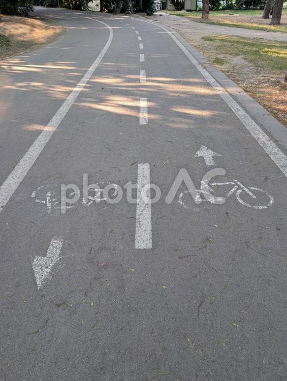 自転車専用道路 自転車専用道路,公園,シーガーデンの写真素材