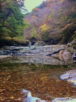 十津川村の河川の風景 十津川,十津川村,奈良の写真素材