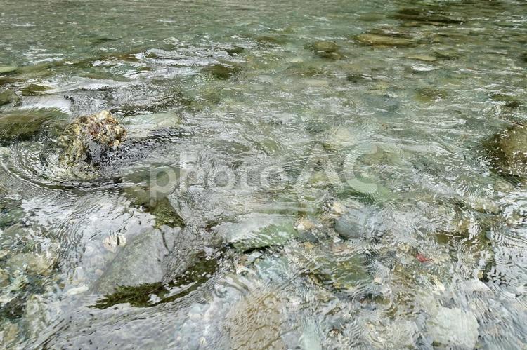 川の上流　透明な川面の風景 川,水面,川面の写真素材