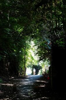 ［神奈川県鎌倉市］亀ケ谷坂切通 鎌倉,亀ケ谷坂切通,切通しの写真素材