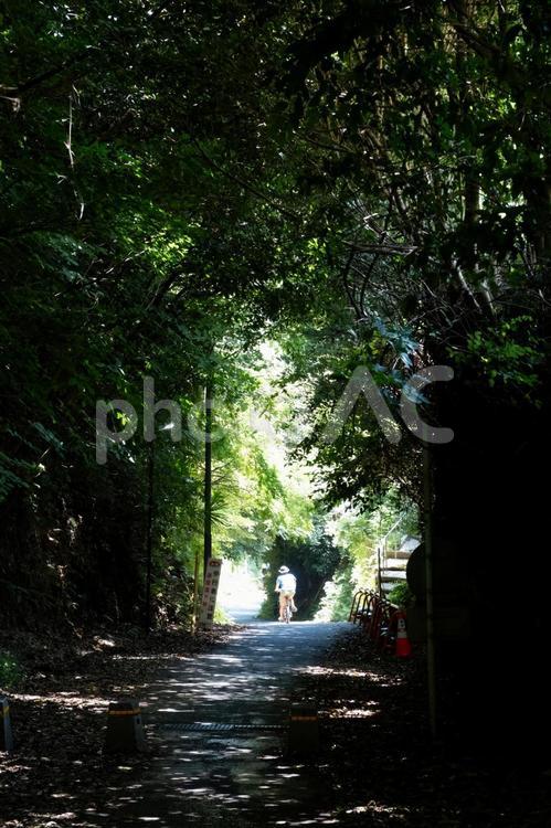 ［神奈川県鎌倉市］亀ケ谷坂切通 鎌倉,亀ケ谷坂切通,切通しの写真素材