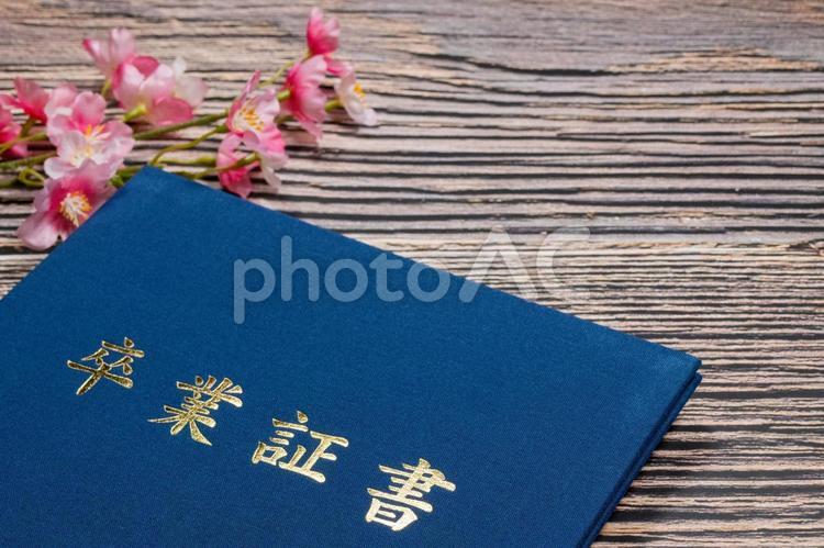 桜の花と卒業証書入れ 卒業証書,花,春の写真素材