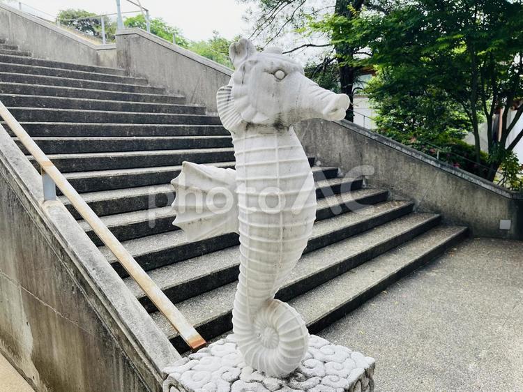 タツノオトシゴ 置き物,オブジェ,辰の写真素材