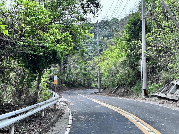 国道331号線台風の後の二見 道路,道,自然の写真素材
