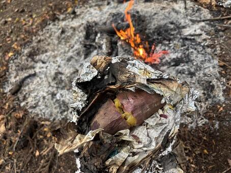 焼き芋3　焚き火 焼き芋,ホクホク,焚き火の写真素材