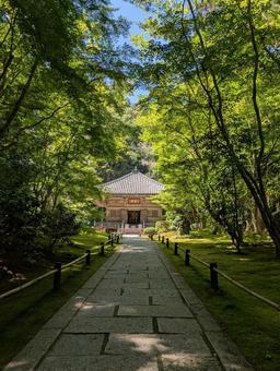 円通院 円通院 松島,松島海岸,円通院の写真素材